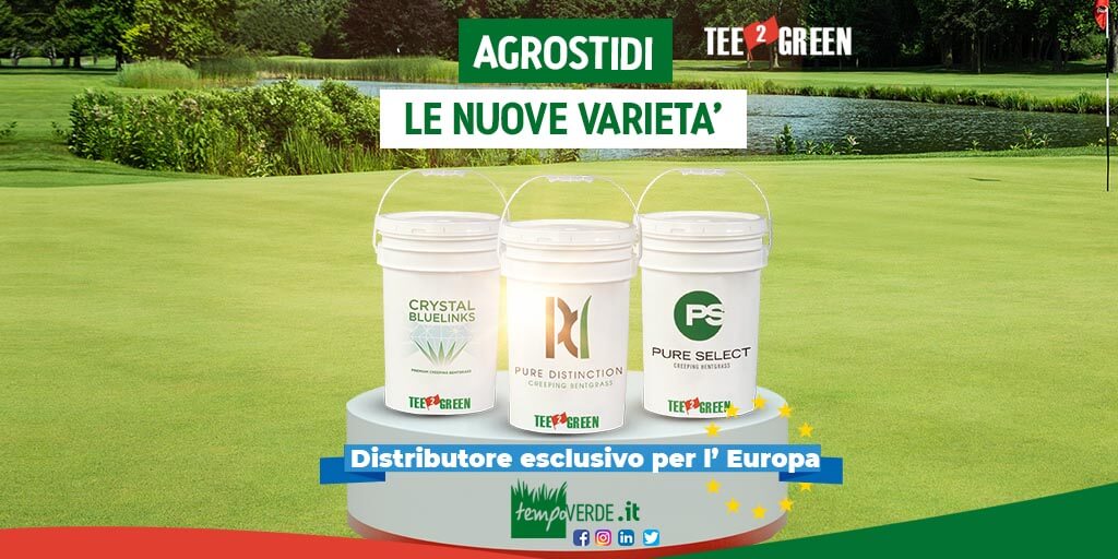 Agrostidi: Le nuove varietà che Tempoverde distribuisce per Tee2Green in tutta Europa