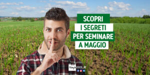 Vuoi seminare a Maggio? Se le recenti piogge ti hanno fatto perdere l'occasione delle semine primaverili, non disperare! Sei ancora in tempo per trasformare il tuo giardino in un'oasi verde prima dell'estate. Segui questi consigli per un prato rigoglioso: