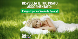 Risveglia il Tuo Prato Addormentato: I Segreti per un Verde da Favola!