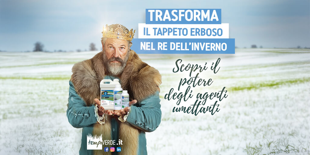 Hai mai pensato che il tuo tappeto erboso potesse essere il Re dell'Inverno? Se pensi che la cura del prato sia solo una faccenda estiva, preparati a cambiare idea! Gli agenti umettanti possono elevare il tuo tappeto erboso a un livello regale, anche nei mesi più freddi dell’anno! 🎉